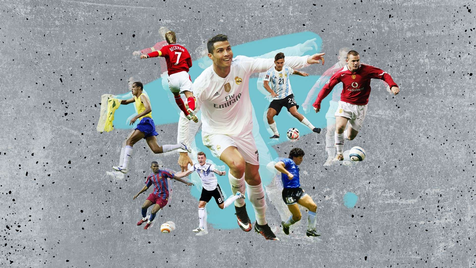 他的培养 他的培养